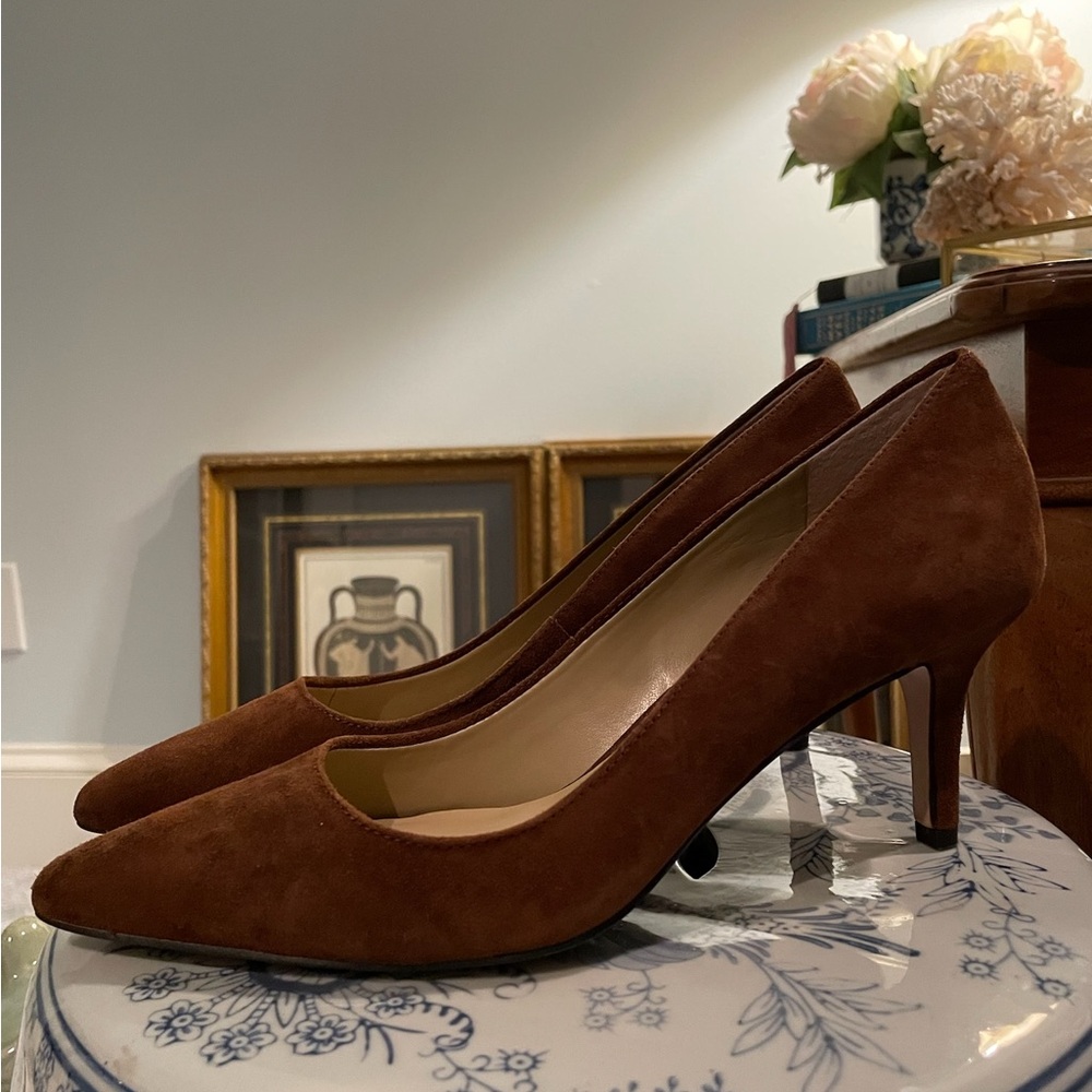 Ann Taylor Brown Suede Leather Eryn Stiletto Pumps Heels